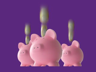 Payit piggy bank