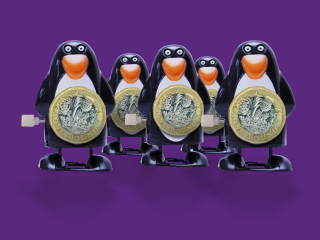 Payit penguin toys