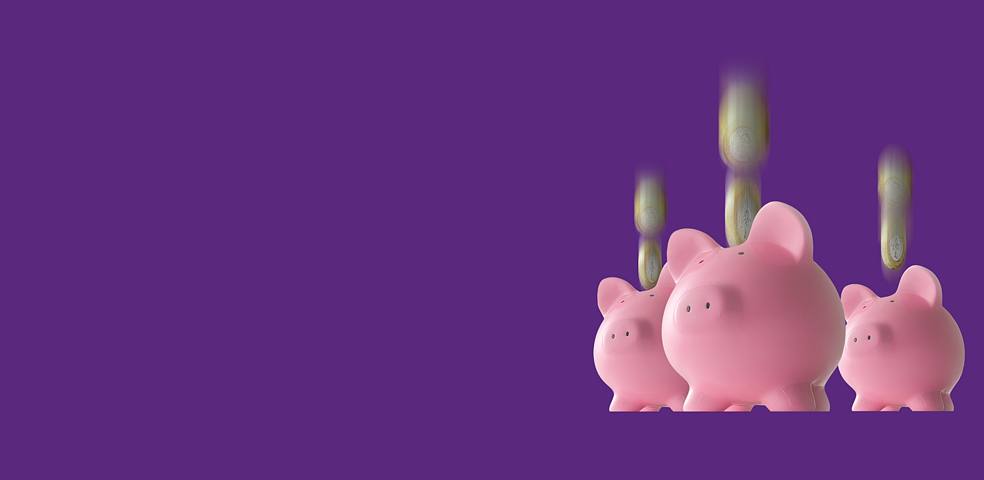 Payit piggy bank