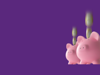 Payit piggy bank