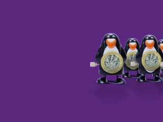 Payit penguin toys